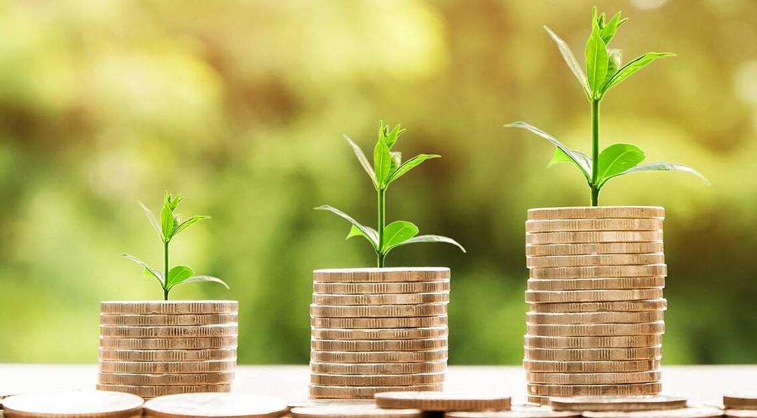 Introduction to Savings